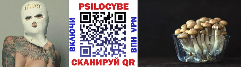 Галлюциногенные грибы Magic Shrooms  Старица 